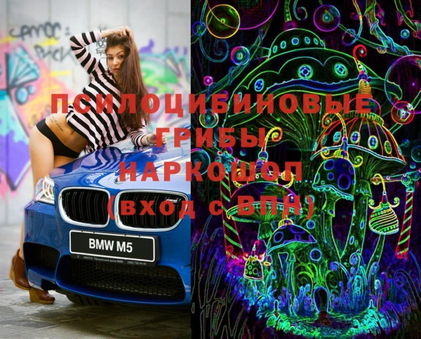 кокс Корсаков