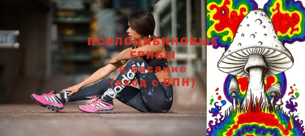 кокс Корсаков