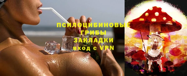 кокс Корсаков