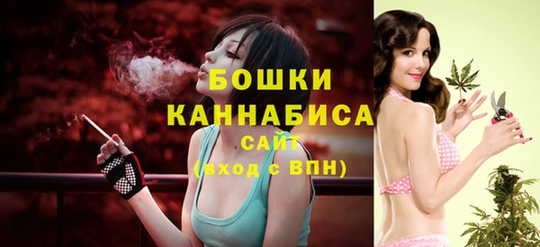 ГАЛЛЮЦИНОГЕННЫЕ ГРИБЫ Козельск