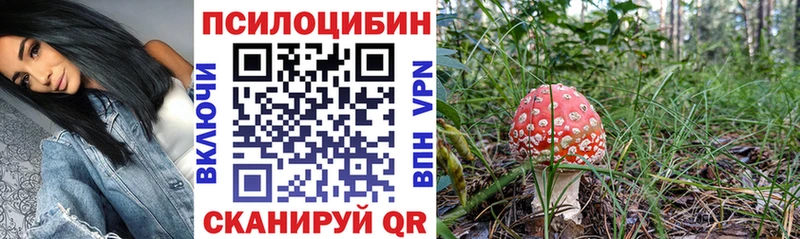 Галлюциногенные грибы Magic Shrooms  Михайловка 
